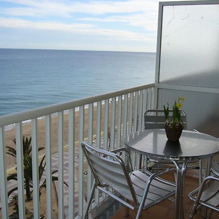Apartaments El Sorrall Blanes Ruang foto